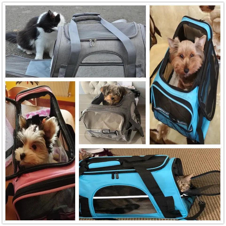 Pet Messenger Carrier Travel Bag - Venus Trendy Fashion Online