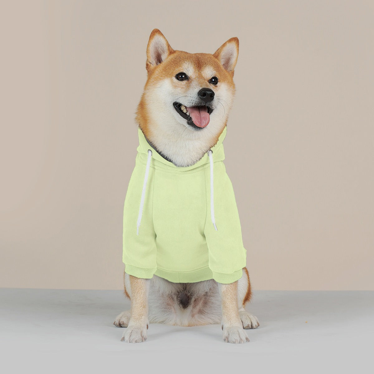 Winter Warm Trendy Pet Hoodie