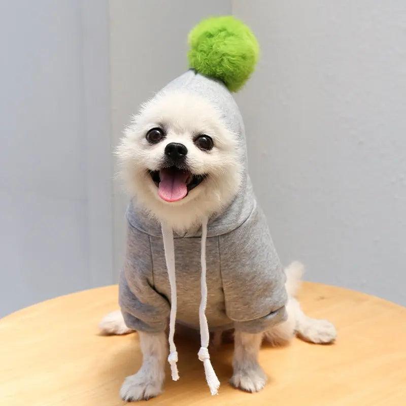 Cute Fruit Dog Clothes for Small Dogs hoodies - Venus Trendy Fashion Online