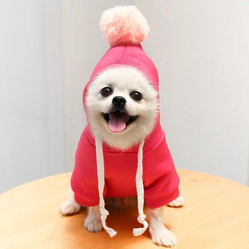 Cute Fruit Dog Clothes for Small Dogs hoodies - Venus Trendy Fashion Online