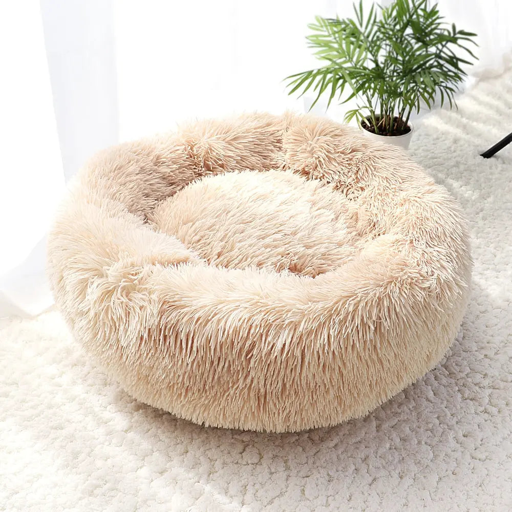 New Warm Dog Cat Bed for Cats Small Dog - Venus Trendy Fashion Online