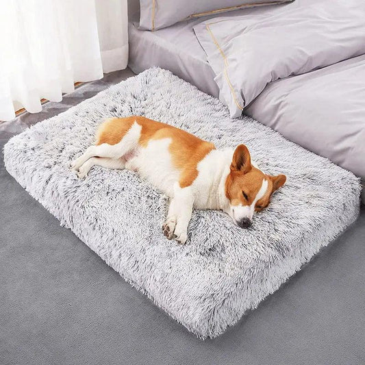 Plush Washable Dog Bed - Venus Trendy Fashion Online