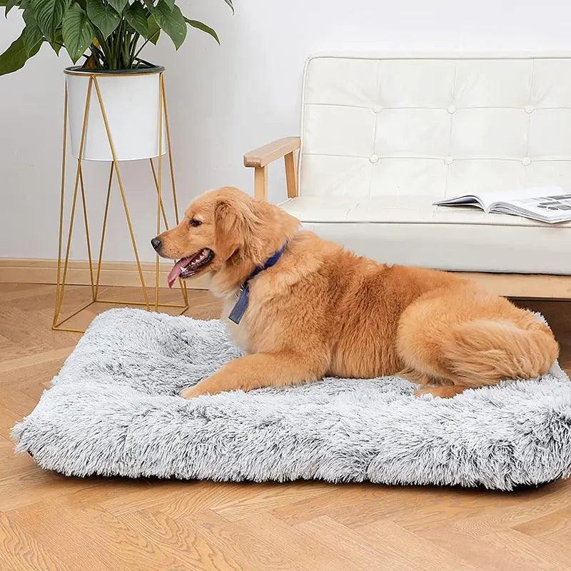 Plush Washable Dog Bed - Venus Trendy Fashion Online