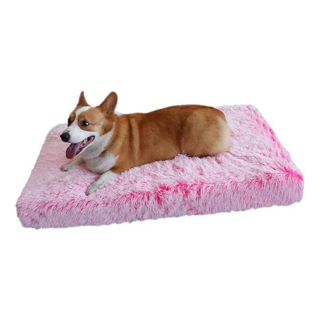 Plush Washable Dog Bed - Venus Trendy Fashion Online