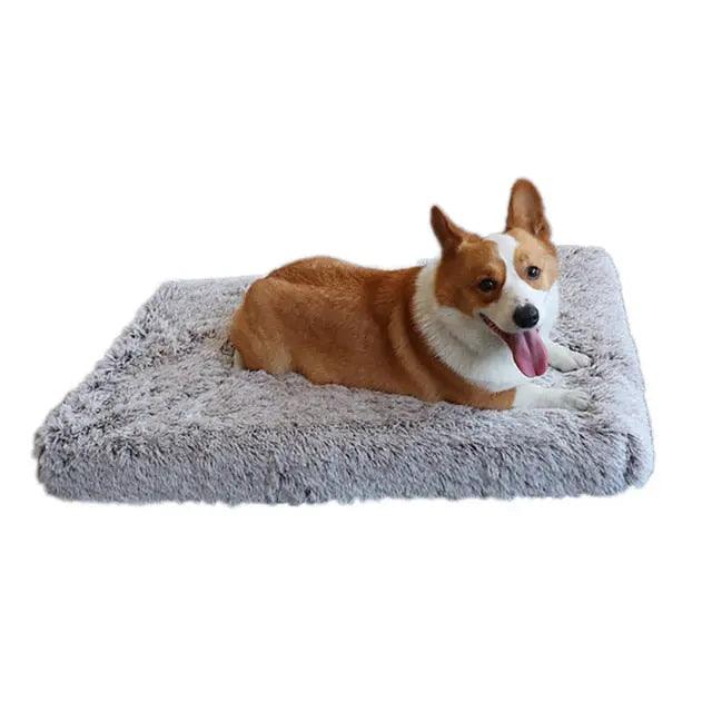 Plush Washable Dog Bed - Venus Trendy Fashion Online