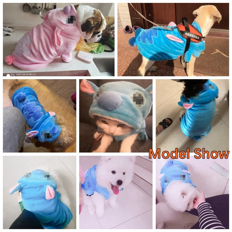 Winter Cute samoyed dog clothes