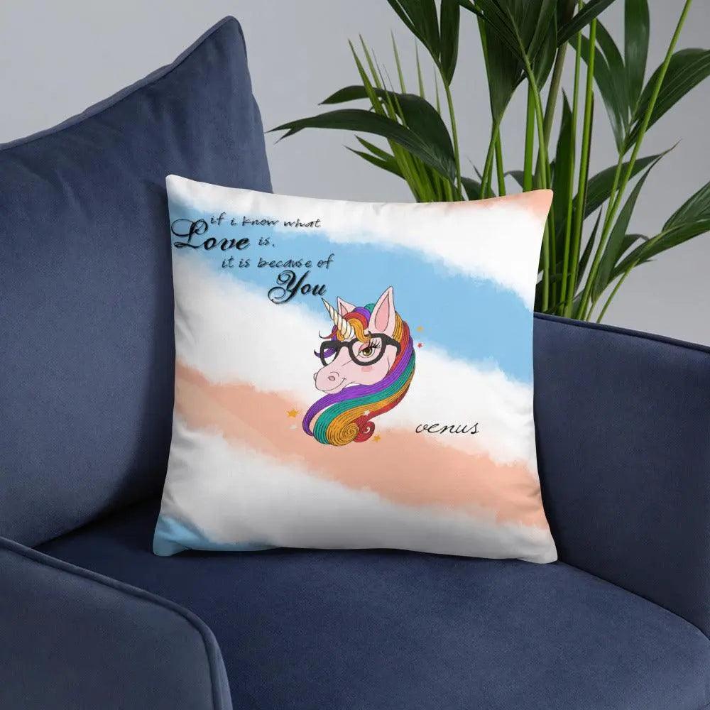 Special Design Stylish Pillow - Venus Trendy Fashion Online