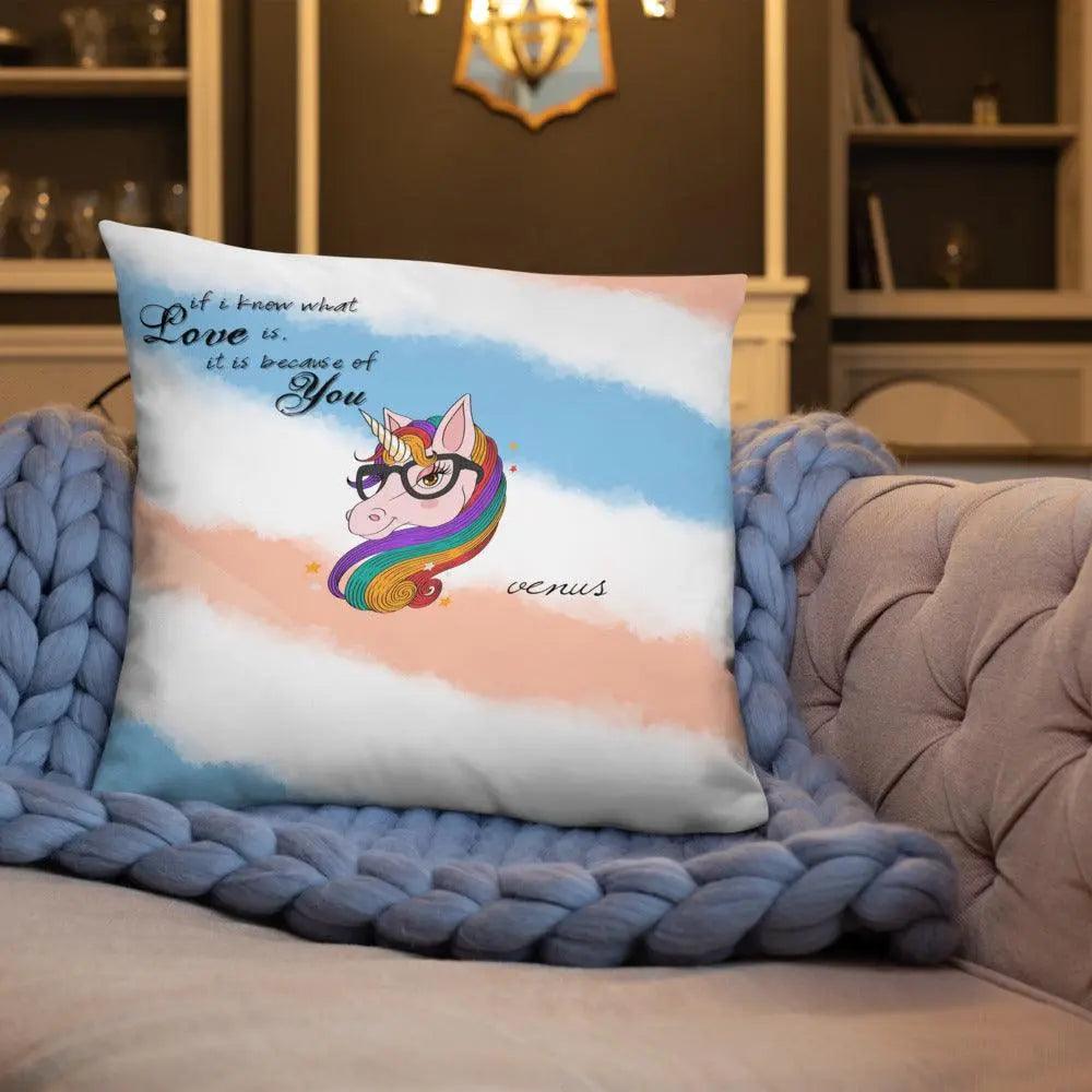 Special Design Stylish Pillow - Venus Trendy Fashion Online