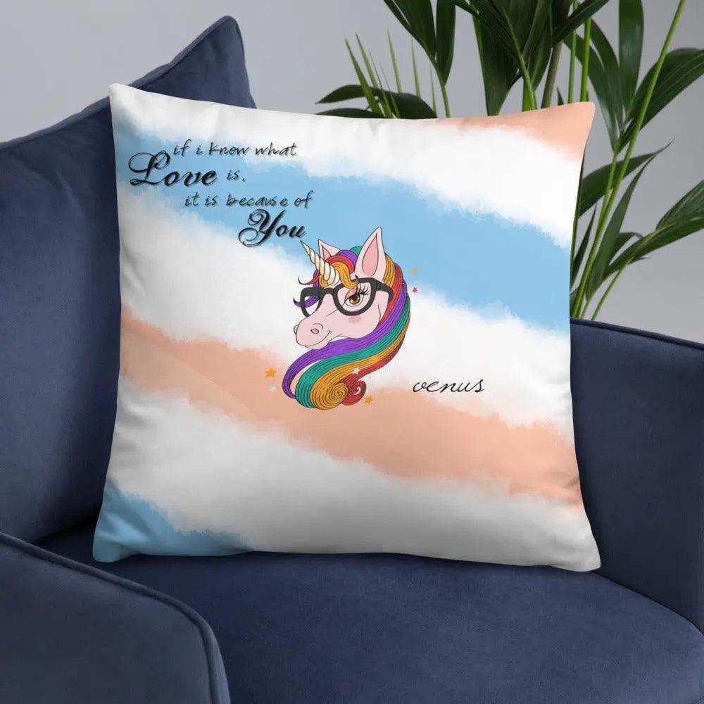 Special Design Stylish Pillow - Venus Trendy Fashion Online