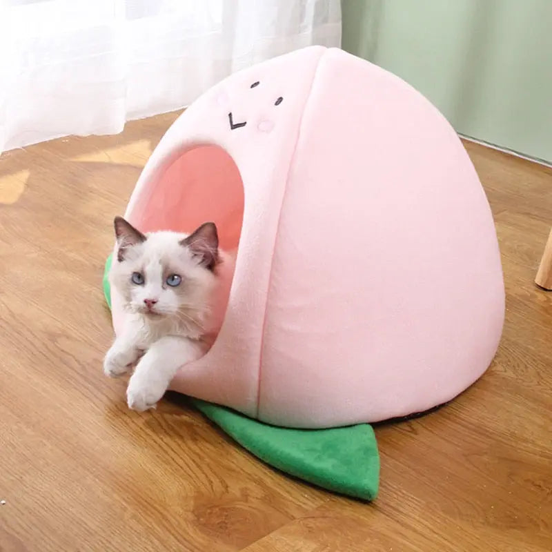 Warm comfort Cat Bed Pet with Soft Cushion - Venus Trendy Fashion Online